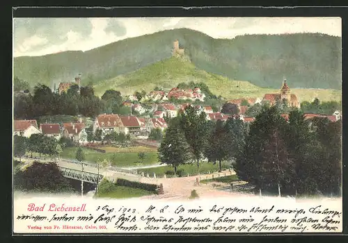 AK Bad Liebenzell, Blick auf die gesamte Ortschaft und zur Burg