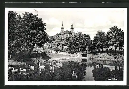 AK Walldürn / Baden, Blick vom Schwanenteich auf die Kirche