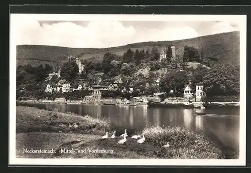 AK Neckarsteinach, Blick auf Mittel- und Vorderburg