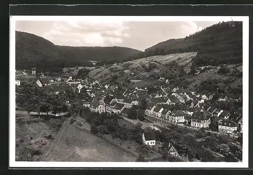 AK Alpirsbach / Schwarzwald, Totale mit Gebirgswand