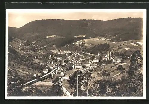 AK Alpirsbach / Schwarzwald, Panoramablick vom Berg