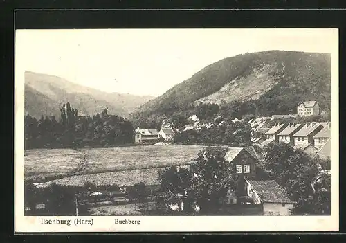 AK Ilsenburg / Harz, Gesamtansicht mit Buchberg