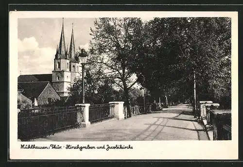 AK Mühlhausen / Thüringen, Hirschgraben und Jacobikirche