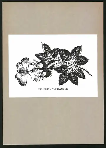 Exlibris Aleksander, Schmetterling landet auf Blättern
