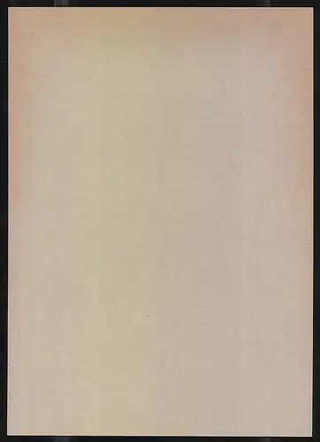 Exlibris Goluwebaja, Frauenschuh fliegt durch die Luft