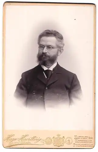 Fotografie Hugo Haerttwig, Haynau i. Schl., Portrait Herr im Anzug mit Brille und Vollbart