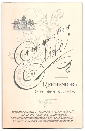Fotografie Elite, Reichenberg, Schückerstr. 19, Portrait Herr im Anzug mit Schlips und Henriquatre Bart