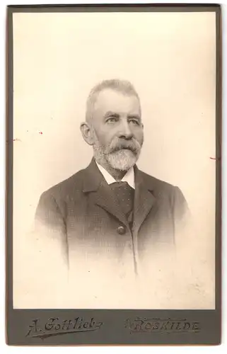 Fotografie A. Gottlieb, Roskilde, Portrait älterer Herr im karierten Anzug mit Vollbart