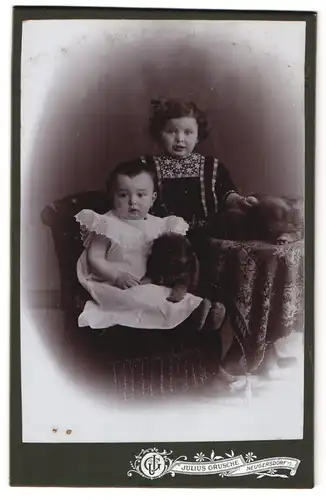 Fotografie Julius Grusche, Neugersdorf i. S., Portrait zwei niedliche Kinder in Kleidern mit Hundewelpen auf dem Schoss