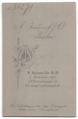 Fotografie A. Jandorf & Co., Berlin-N., Brunnen-Strasse 19-21, Portrait junger Herr im Anzug mit Krawatte