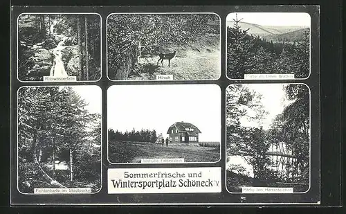 AK Schöneck i.V., Gasthaus Skihütte Falkenstein, Hirsch, Partie am Herrenteich