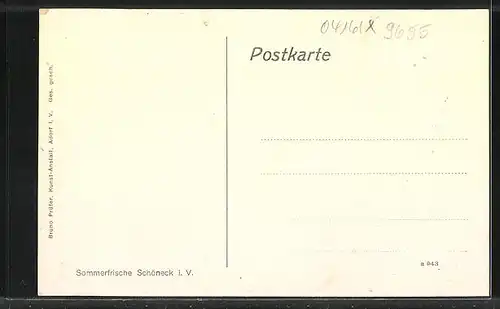 AK Schöneck i.V., Gasthaus Skihütte Falkenstein, Hirsch, Partie am Herrenteich