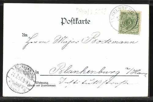Lithographie Inselsberg, Hotels auf dem Gipfel, Wasserfall im Trusenthal