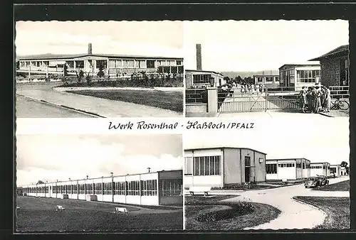 AK Hassloch /Pfalz, Kurt Leicher - Schreibwaren, Werk Rosenthal