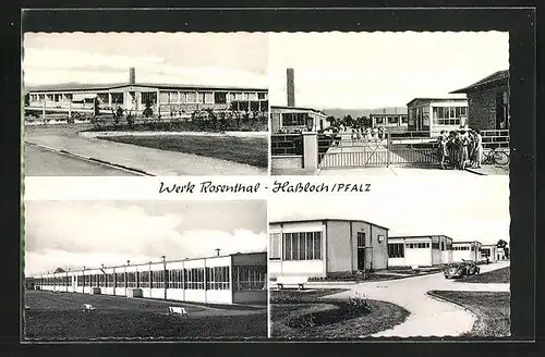 AK Hassloch /Pfalz, Kurt Leicher - Schreibwaren, Werk Rosenthal