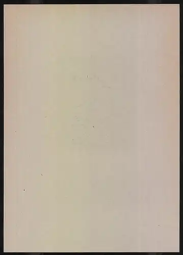 Exlibris Initialien BE