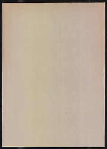 Exlibris Jadwigi Jarnuszkiewicz, Blitz durchschlägt einen Menschen