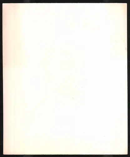 Exlibris Oskar Rauthe, Totenschädel unter dem Baum