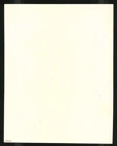 Exlibris Gornaro de Blurs, Wappen mit Ritterhelm und Greif