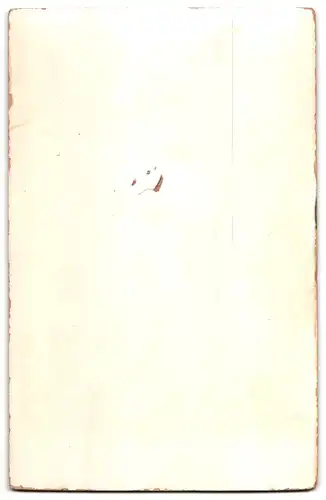 Fotografie Robert Süss, Bautzen, Tuchmachergasse 20, Portrait gepflegter Herr in Jacke mit Fliege