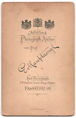 Fotografie E. Hanfstaengl, Frankfurt / Main, Portrait blonde hübsche Dame im prachtvoll besticktem Kleid