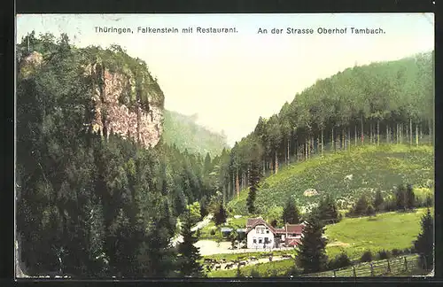 AK Falkenstein im Dietharzer Grund, Totalansicht mit Restaurant Falkenstein