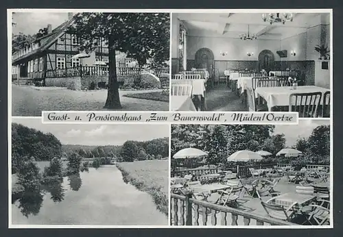 AK Müden /Oertze, Gasthaus zum Bauernwald
