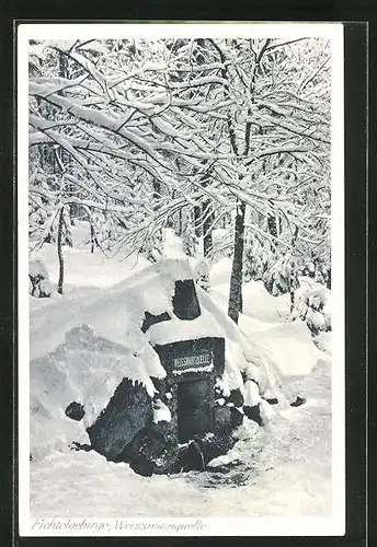 AK Bischofsgrün im Fichtelgebirge, Weissmainquelle im Schnee