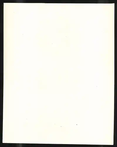 Exlibris Mantero, Bücherregal mit Auge und Frauengesicht, Kleeblatt