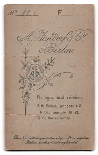 Fotografie A. Jandorf & Co., Berlin, Bellealliancestrasse 1 /2, Kleinkind in kariertem Kleid mit Puppe