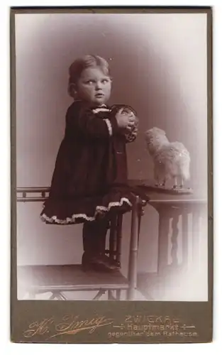 Fotografie Heinrich Imig, Zwickau, Hauptmarkt 15, Wonneproppen mit Ball und Spielzeug-Schaf