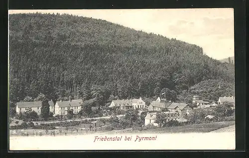 AK Pyrmont, Friedenstal, Teilansicht mit Wald