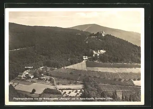 AK Burrweiler / Pfalz, Gasthaus Annagut und St. Anna-Kapelle vom Flugzeug aus, Fliegeraufnahme