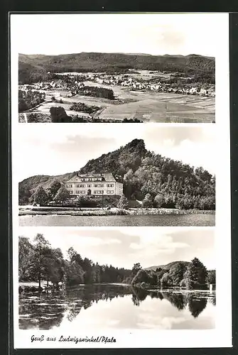 AK Ludwigswinkel /Pfalz, Ortsansicht aus der Vogelschau, Flusspartie