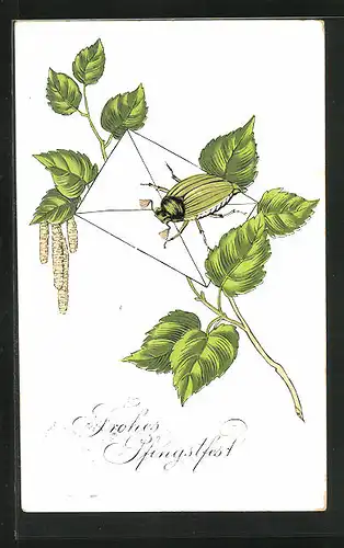 Künstler-AK Pfingstgruss, Birkenzweig, Maikäfer