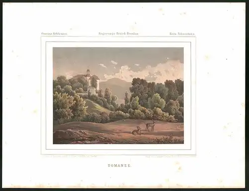 Lithographie Domanze, Kreis Schweidnitz, Farblithographie aus Duncker 1865, 28 x 37cm