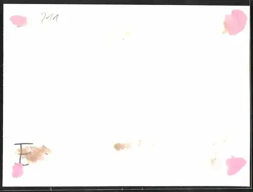 Fotografie unbekannter Fotograf, Ansicht Berlin-Köpenick, Strassenbahn-Triebwagen Nr. 5400 auf dem Betriebshof