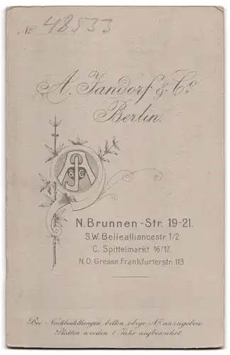 Fotografie A. Jandorf & Co., Berlin-N., Brunnen-Strasse 19-21, Portrait bürgerliche Dame im Kleid mit Blume