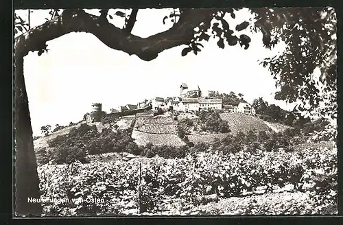 AK Neuleiningen, Teilansicht mit Baum von Osten