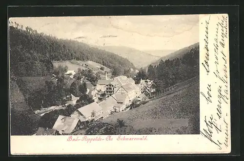 AK Bad Rippoldsau /Schwarzwald, Teilansicht