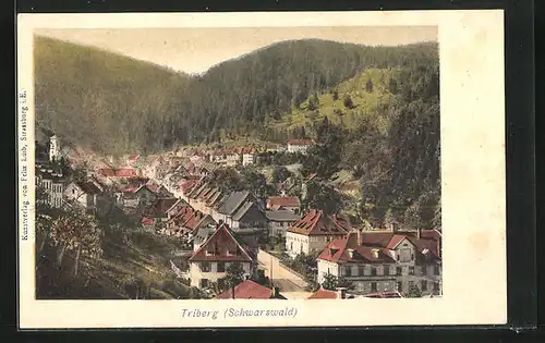 AK Triberg /Schwarzwald, Teilansicht