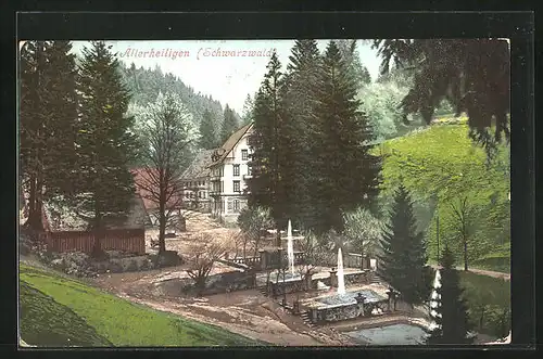 AK Allerheiligen /Schwarzwald, Ortspartie mit Brunnen