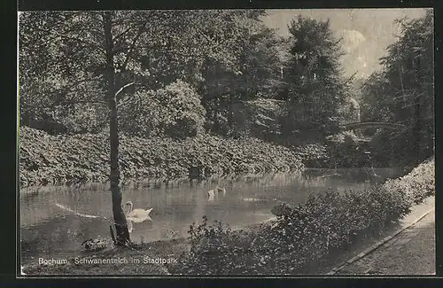 AK Bochum, Schwanenteich im Stadtpark