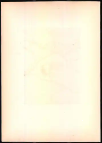 Lithographie Die Haubenmeise, montierte Farblithographie aus Gefiederte Freunde von Leo Paul Robert 1880, 28 x 39cm