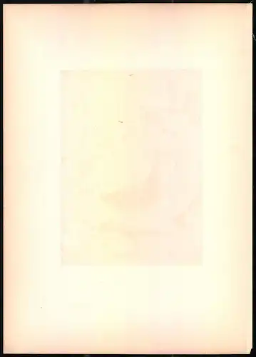 Lithographie Der Wasserpieper, montierte Farblithographie aus Gefiederte Freunde von Leo Paul Robert 1880, 28 x 39cm