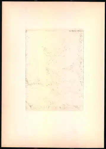 Lithographie Die Graue Bachstelze, montierte Farblithographie aus Gefiederte Freunde von Leo Paul Robert 1880, 28 x 39cm