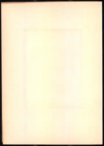 Lithographie Die Dohle, montierte Farblithographie aus Gefiederte Freunde von Leo Paul Robert 1880, 28 x 39cm