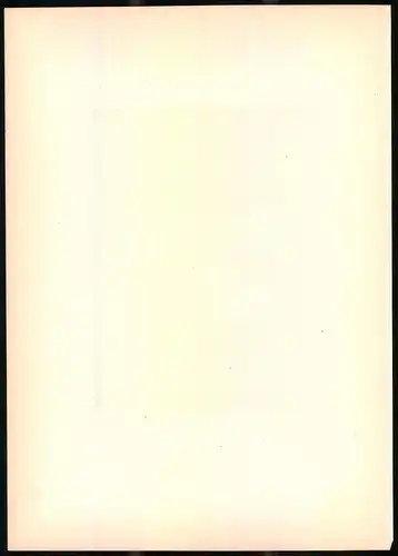 Lithographie Die Stadtschwalbe, montierte Farblithographie aus Gefiederte Freunde von Leo Paul Robert 1880, 28 x 39cm