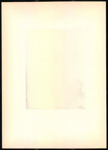 Lithographie Der Weisshalsige Fliegenschnäpper, Farblithographie aus Gefiederte Freunde von Leo Paul Robert 1880