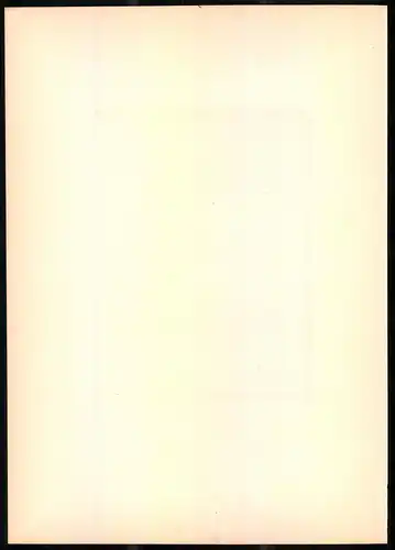 Lithographie Der Wendehals, montierte Farblithographie aus Gefiederte Freunde von Leo Paul Robert 1880, 28 x 39cm